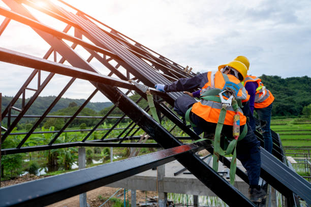 Best Local Roofing Companies  in Trenton, IL