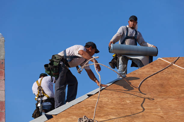 Best Storm Damage Roof Repair  in Trenton, IL