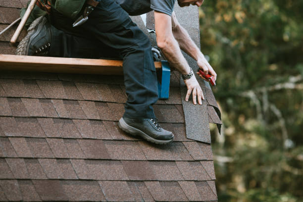 Best Gutter Installation and Roofing  in Trenton, IL