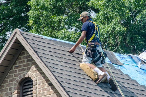 Best New Roof Installation  in Trenton, IL
